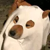 woof.woof.doza