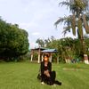 mamtakathariya01