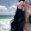 euu_nii8