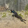 chasse