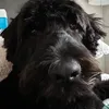 lilsnort48