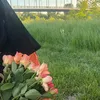 il_.02