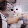 mariam.mohmed75