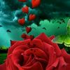 user4025470606726