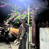 jhnzyrs