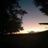 gramy_345