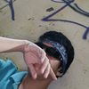 sodiperro17