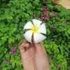phyo.lay0998
