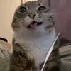 so0kycn