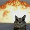meomeodutditthmeo