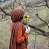 anfal.764