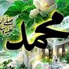 user9544501709982