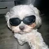 its_zheyx