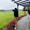 andirahmi0_