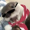 katory