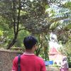 zain