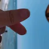 khadidjaraouraoua