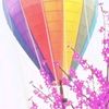 user30351201413097