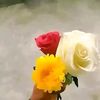 user2316170661771