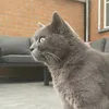 zeyynnepp2