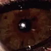 nourjelassi0