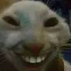 xui.caube