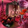 user681680833