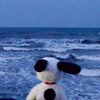 _taniam164