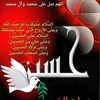 ali8487646