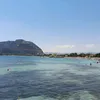 vivilavitachevuoi
