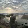 arum.mashuroh8