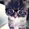 jurek_865