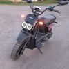 yanag258