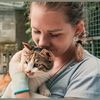 velvetanimalsrescue