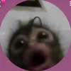 leonapp_