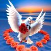 user2260310978584