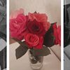 hatice.ifti0