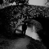 rhystomkins16