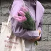 lsnd45