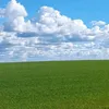 rip_jorge2009