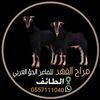 mra7fahad