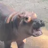 sssksiwj