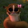 tair.hadad