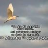 amanda.caceres.in