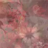 assapy_