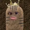 araayapingg