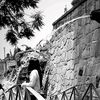 diana._qra
