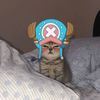 awoken421