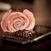 user76088808163905