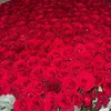milaya02222